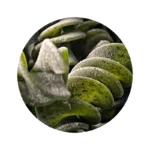 Фусили със спанак